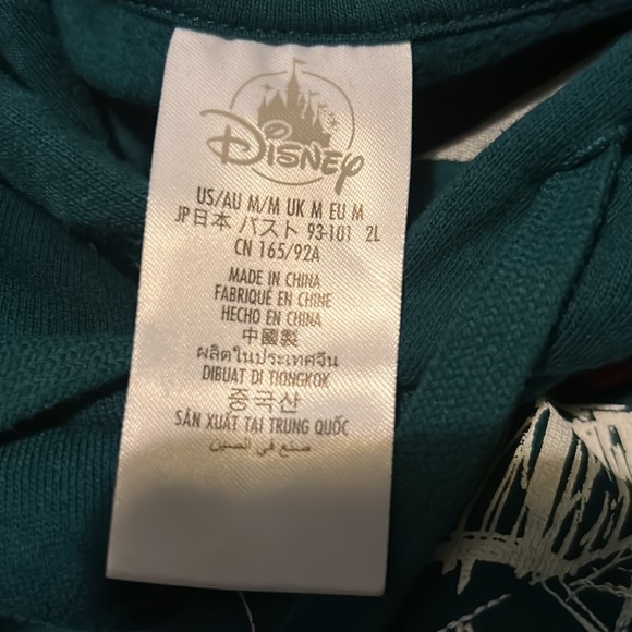 The Nightmare Before Christmas Sally Teal Pullover Hoodie Adult M - Picture 4 of 4